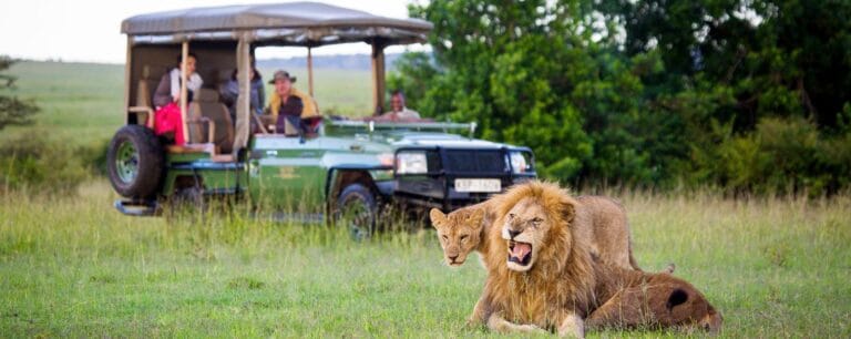 Advantages of Private Safari Tours: Is It Worth the Extra Cost?