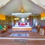 5-Day Kenya Wildlife Big 5 Safari - Demic Africa (6)